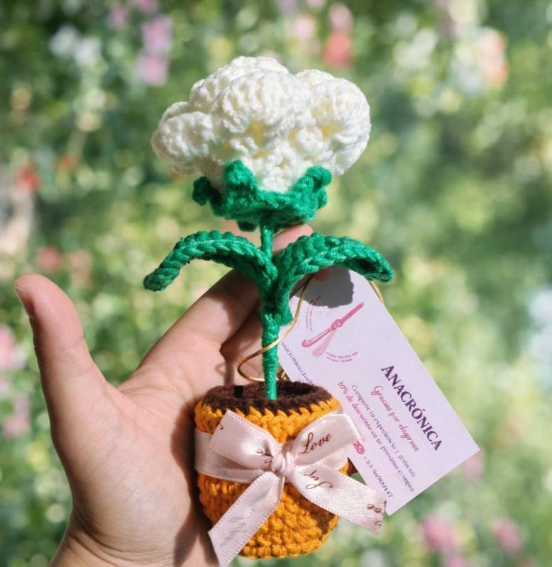 Rosa Blanca • Mini Maceta 🪴