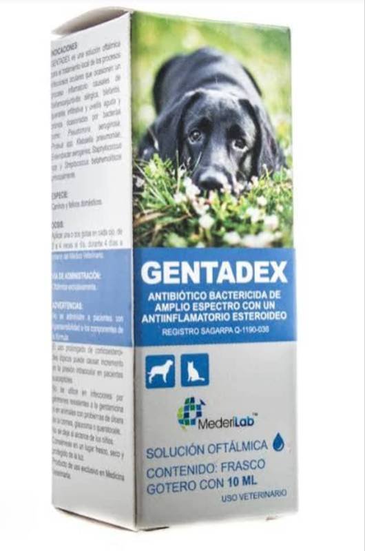 GENTADEX