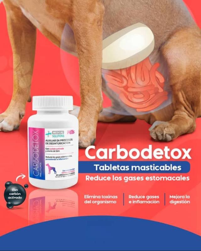 Medical Solutions Carbodetox: Alivio Natural para tu Perro